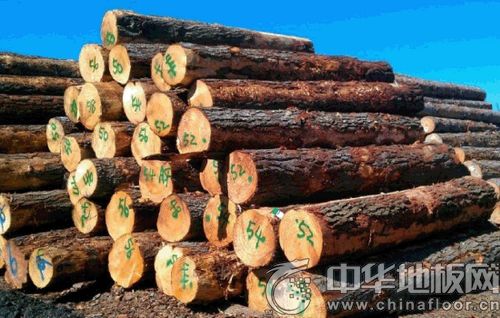 ľЈʰ ľָ(sh)(chung)7